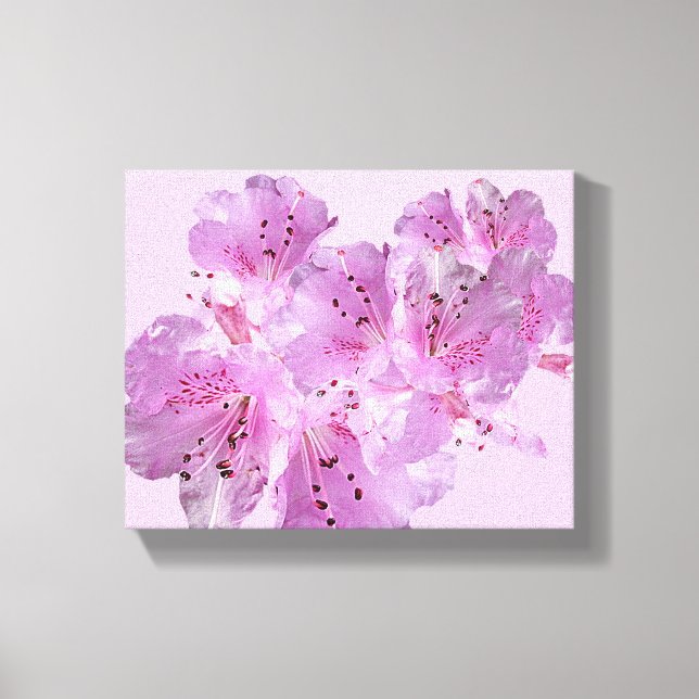 blommigten för söt rosa vår blommar är vacker och  canvastryck (Framsida)