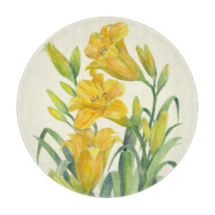 Blommigten Gult för vattenfärgsdag Lilies Illustr