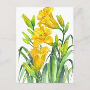 Blommigten Gult för vattenfärgsdag Lilies Illustr Vykort