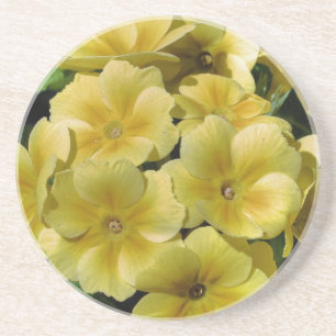 Blommigten gult Primrose Underlägg Sandsten