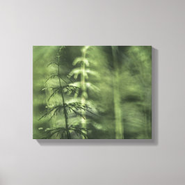 Blommigten Horsetail Photo grönt Canvastryck