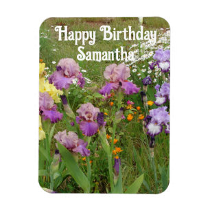 Blommigten Iris Irises Blue Flower Magnet