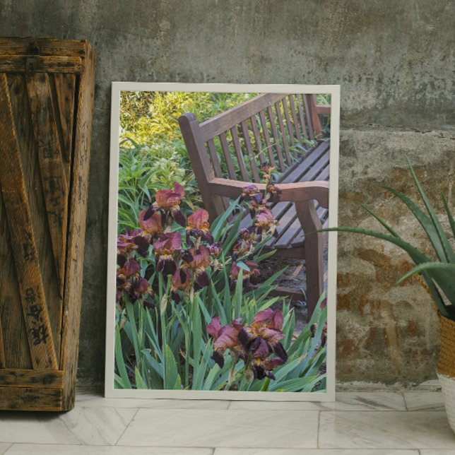 Blommigten Irises Blooms och Garden Park Bench Fototryck (In Situ)