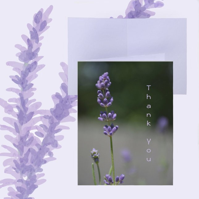 Blommigten Lavender Flowers Botanical Photographic Anteckningskort (Skapare uppladdad)