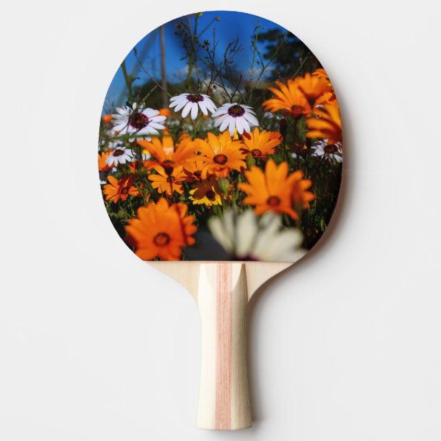 Blommigten Namaqualand Pingisracket (Framsidan)