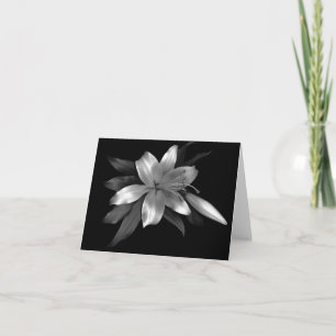 Blommigten noterar liljan för kort
