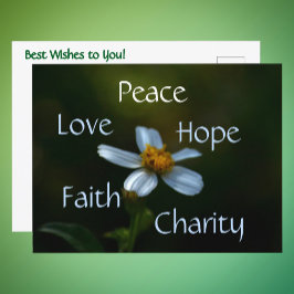 Blommigten Peace Kärlek Hope Faith Charity Daisy Vykort