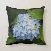 Blommigten Photo, vackert Blue Hydrangea
