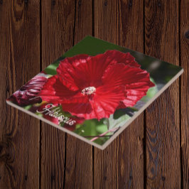 Blommigten Red Swamp Hibiscus Bloom Kakelplatta