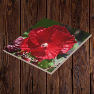 Blommigten Red Swamp Hibiscus Bloom Kakelplatta