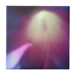 Blommigten rosa-Lila Kakelplatta