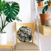 Blommigten Sedum Spathulifolium Succulents