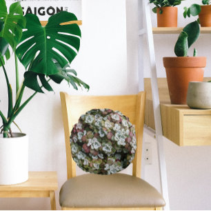 Blommigten Sedum Spathulifolium Succulents Rund Kudde