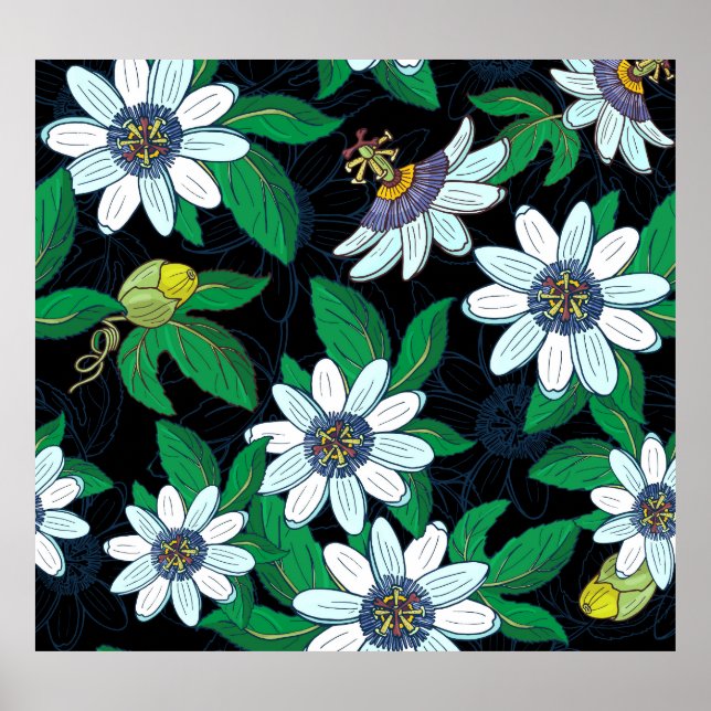 Blommigten Sömlös Passionblomma Black Background Poster (Framsidan)