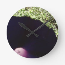 Blommigten tar tid på