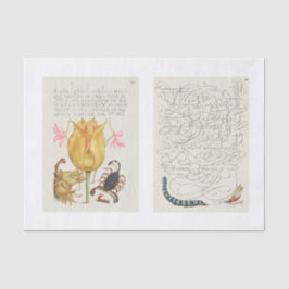 blommigten Teckenförklaring för Trädgårdsinsekt