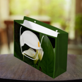 Blommigten Two White Calla Lilies