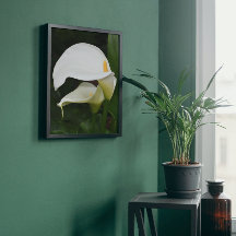 Blommigten Two White Calla Lilies