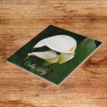 Blommigten Two White Calla Lilies