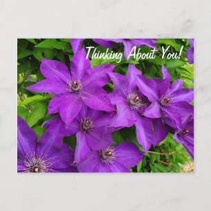 Blommigten You Lila Clematis Vykort