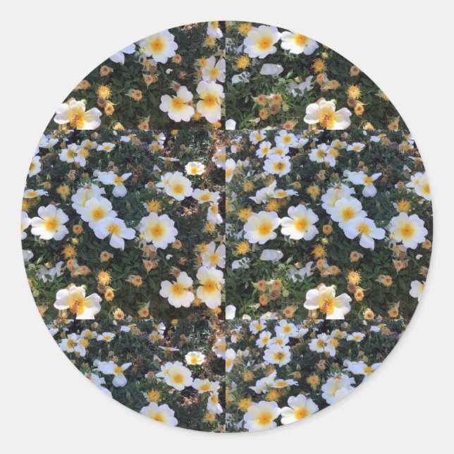 Blommigtens fästmärke runt klistermärke (Framsida)