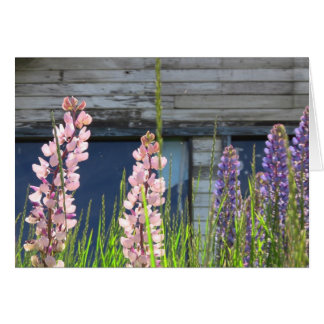 Blommigtens fotokort OBS kort