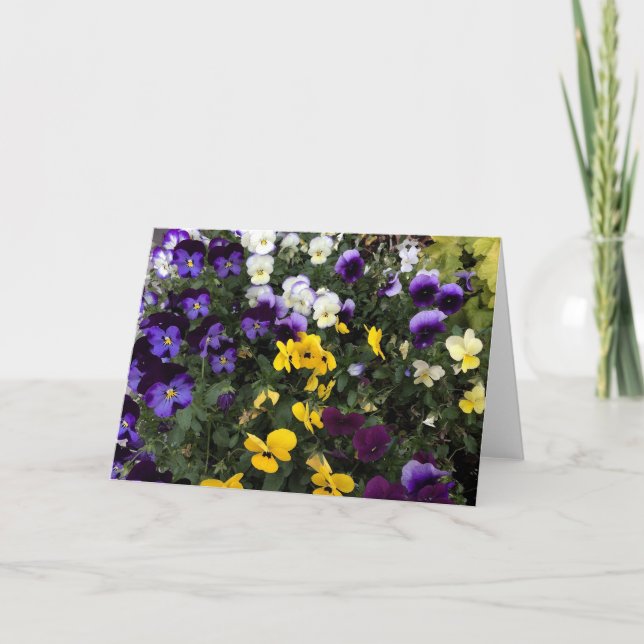Blommigtens hälsningskort kort (Framsida)