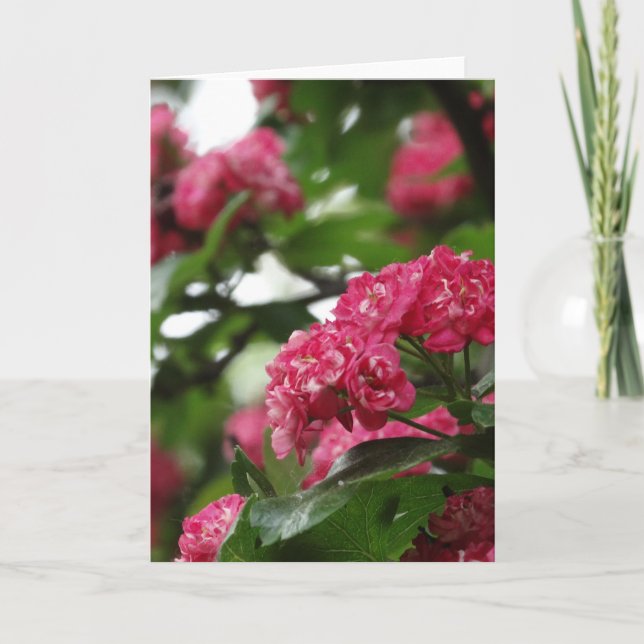 Blommigtens hälsningskort, standard kort (Framsida)