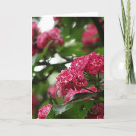 Blommigtens hälsningskort, standard kort