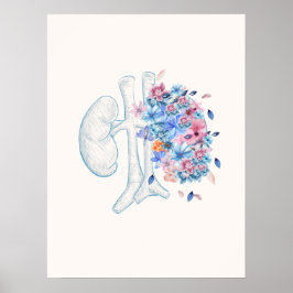 Blommigtens medicinska njuranatomi poster
