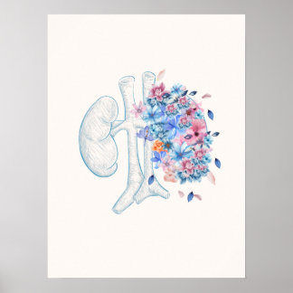 Blommigtens medicinska njuranatomi poster