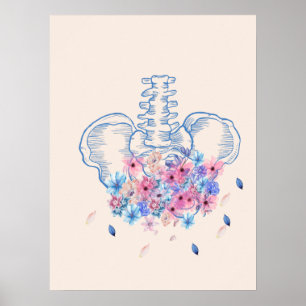 Blommigtens medicinska pelvis anatomi poster