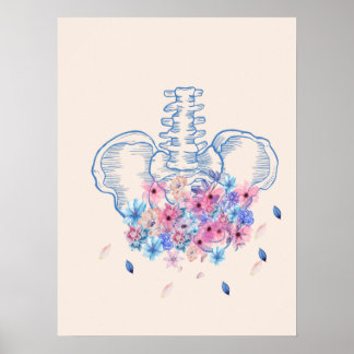 Blommigtens medicinska pelvis anatomi poster