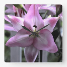 Blommigtens motståndskraft