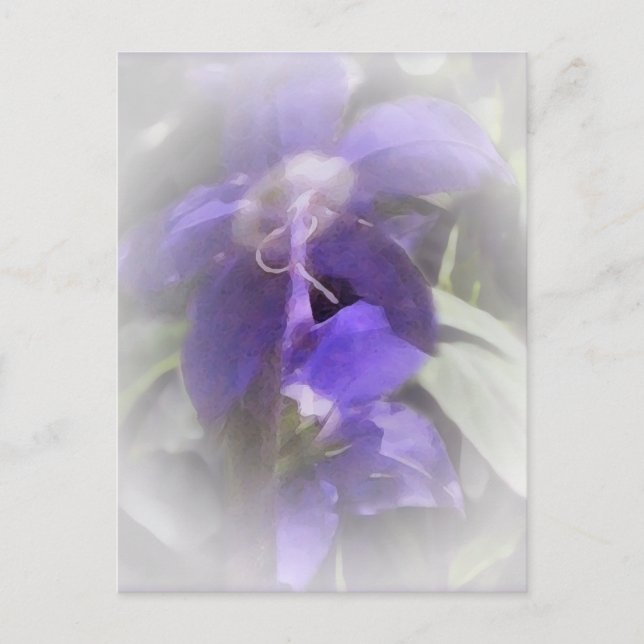 Blommigtens Söt Vykort (Framsida)