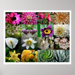 Blommigtens utfall poster