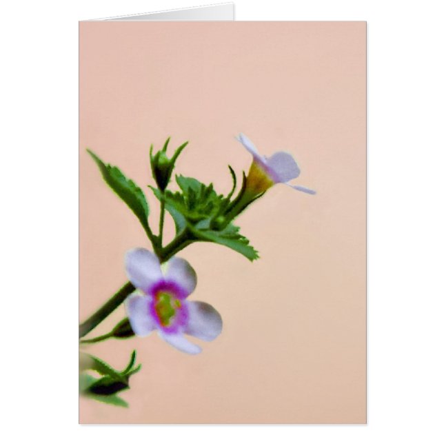 Blommigtens utformning på Rosan Hälsningskort (Framsidan)