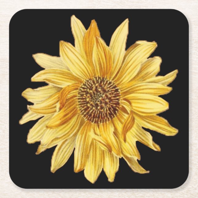 Blommigtens utformning, solblommor, svart bakgrund underlägg papper kvadrat (Framsidan)