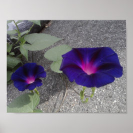 Blommigtens värde Poster Pappert