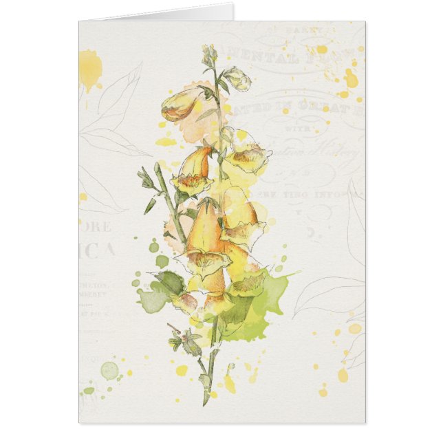 Blommigtgultstänk Hälsningskort (Framsidan)