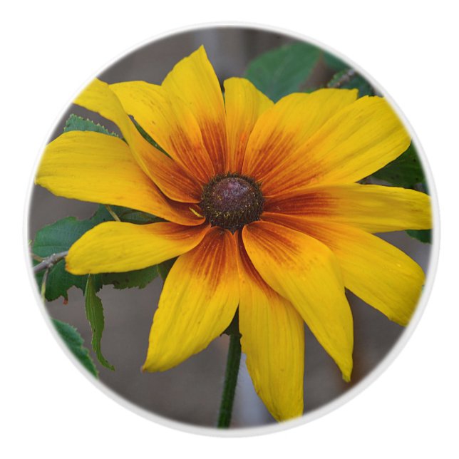 Blommkeramiskt knopp (Framsidan)