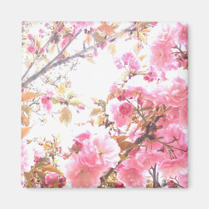 Blommönster för Rosa Flowers Cherry Blommar Magnet
