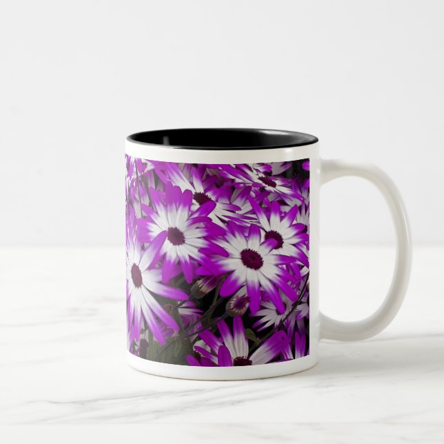 Blommönster, Kuekenhof Gardens, Lisse, Två-Tonad Mugg (Höger)