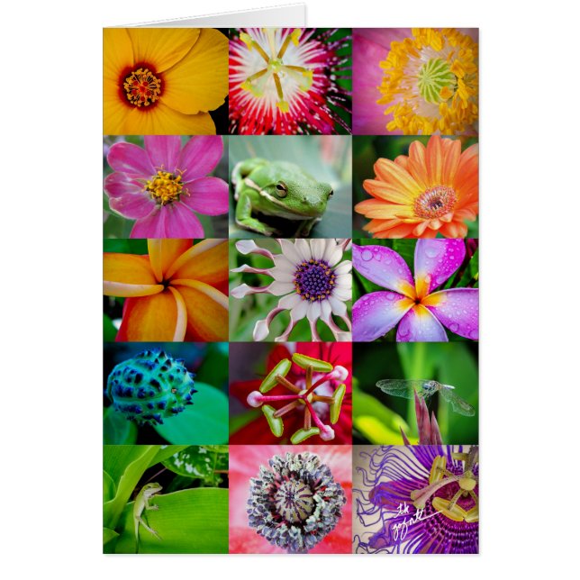 Blommönstret elegant Flowers and Creatures Hälsningskort (Framsidan)