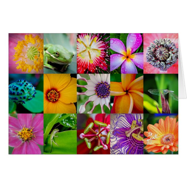 Blommönstret elegant Flowers and Creatures Hälsningskort (Framsidan Horizontal)