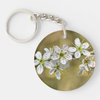 Blommor