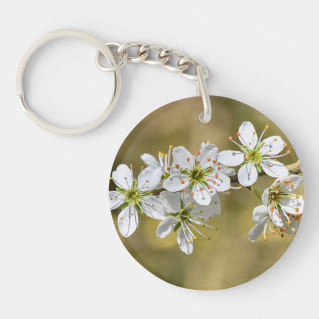 Blommor (Framsidan)