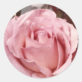 Blommor 137 runt klistermärke