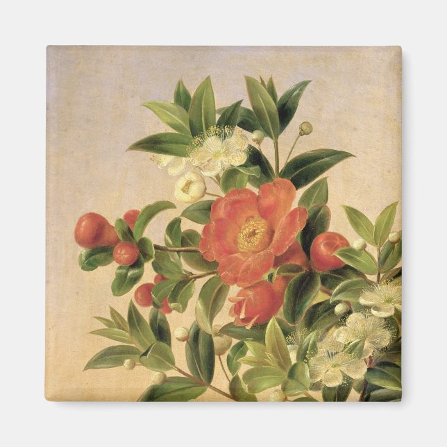 Blommor, 1835 magnet (Framsidan)