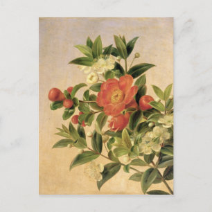 Blommor, 1835 vykort
